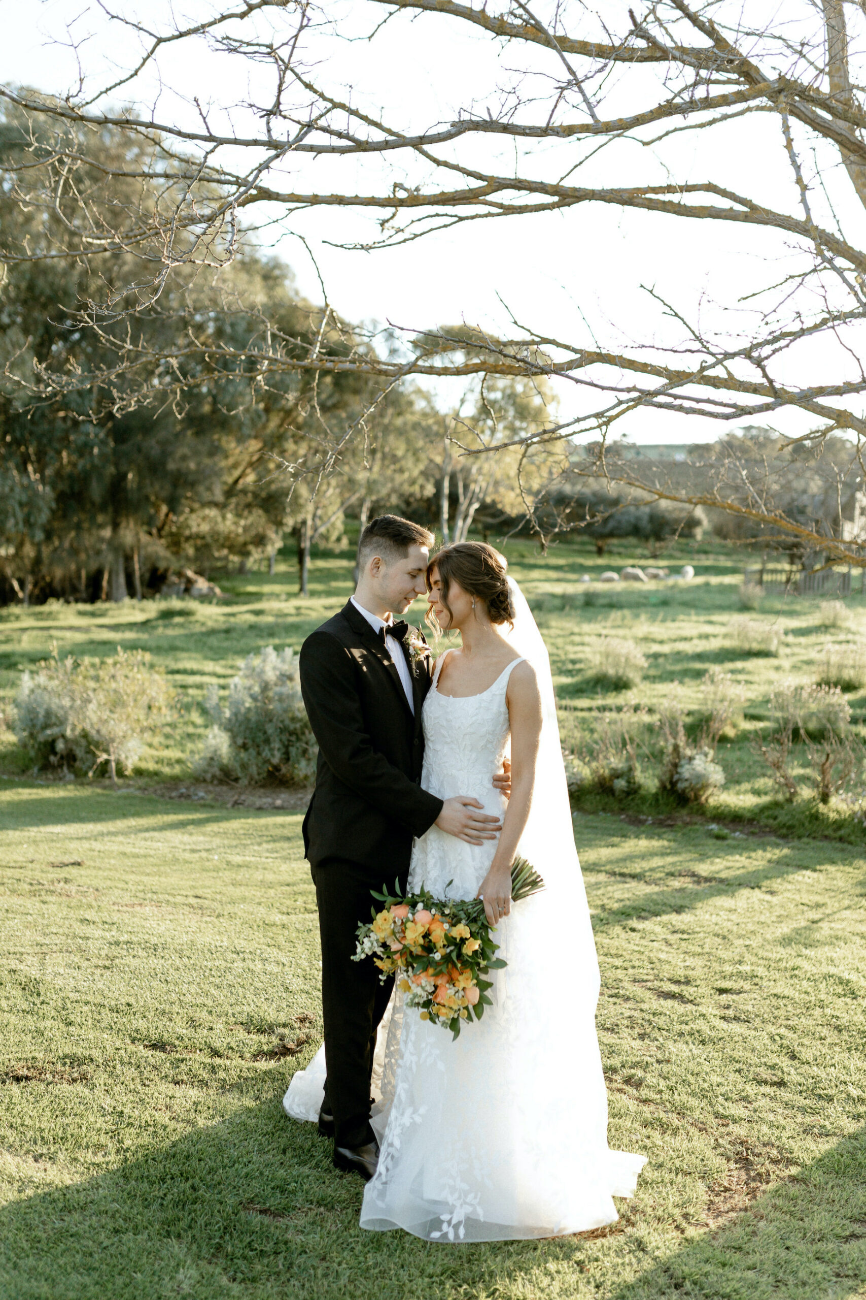 White Hill Estate Oliver's McLaren Vale Homestead Wedding Ceremony, Reception, Accommodation, Rustic Barn, Dry Hire Property