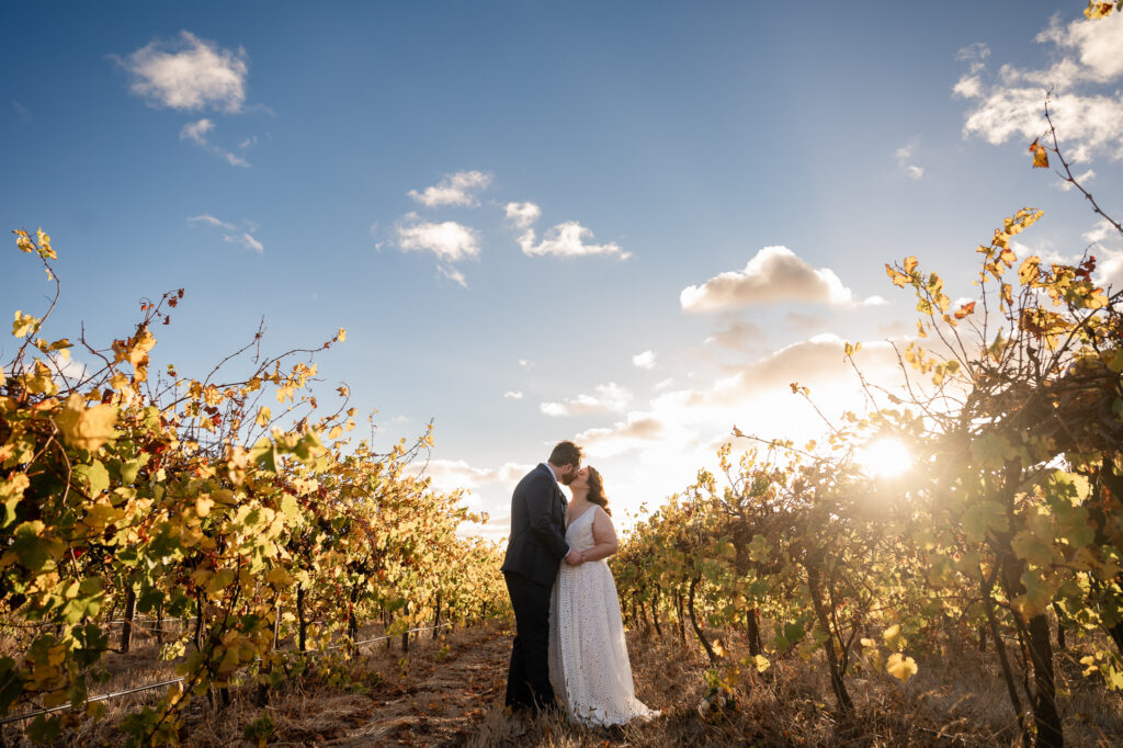 Ekhidna Wines, McLaren Vale Fleurieu Peninsula, Wedding Ceremonies and Receptions, Winery, Views, Alfresco dining, beautiful food and wine experiences