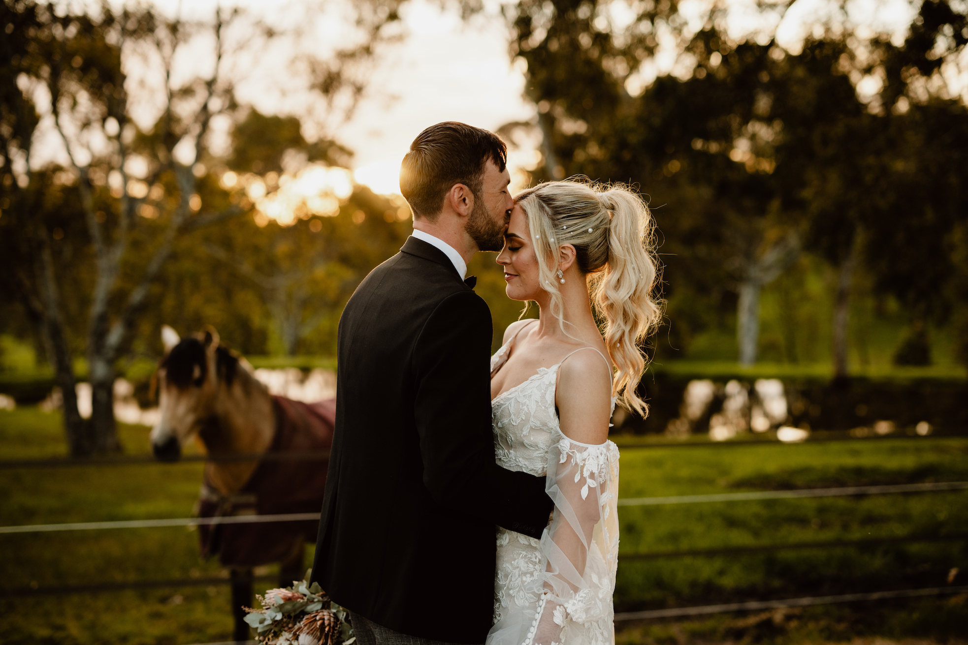 Brin Farm - Video
