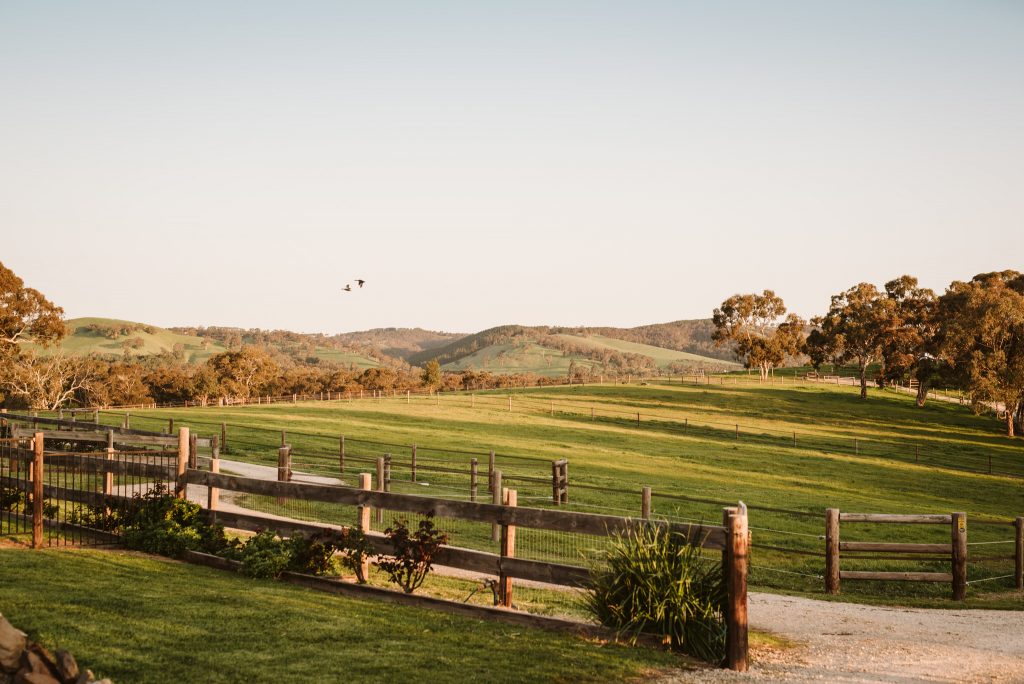 Brin Farm Styled Photo Shoot, Adelaide Hills, Private Horse Stud, Weddings and Events