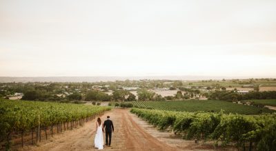 Lloyd Brothers, McLaren Vale, Winery, Olive Grove, Modern White Wedding Venue, Fleurieu Peninsula