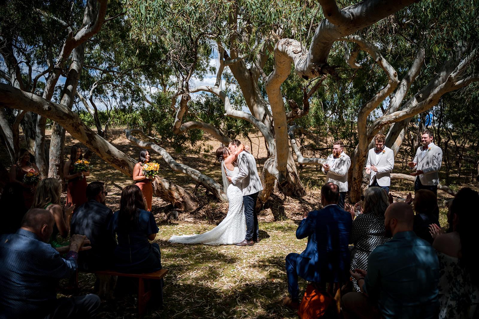 Werner Vineyards - Video