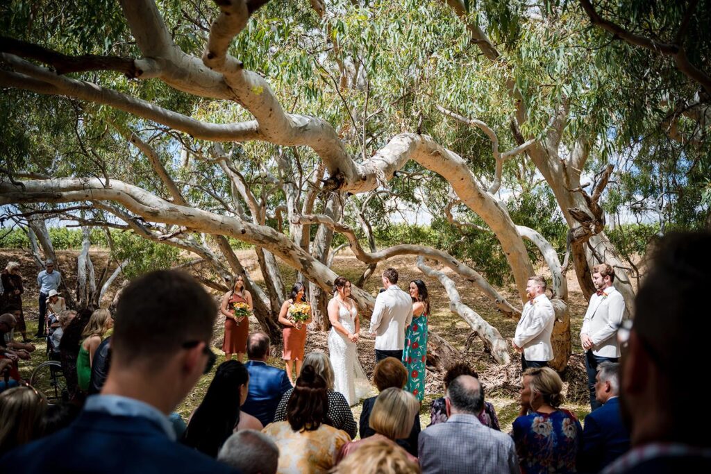 Werner Vineyards, flexible Willunga Wedding Venue in the heart of the Fleurieu Peninsula offering byo beverages and catering