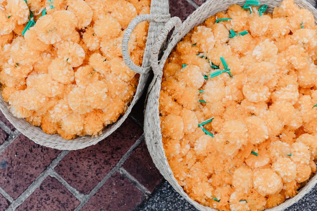 Real Wedding Blog, Paige and Raven. Three day Indian Wedfestival hosted at their home, Adelaide Botanic Gardens and the Hotel Richmond over three days.