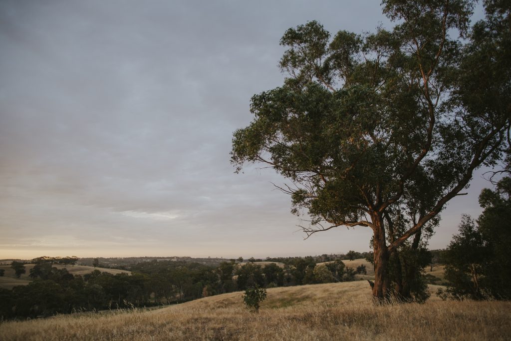 Templewood House, Inglewood, Adelaide Hills Wedding Venue, Country Property on the Outskirts of the City, Drinks Service, Flexible Catering Space suitable ceremony and receptions