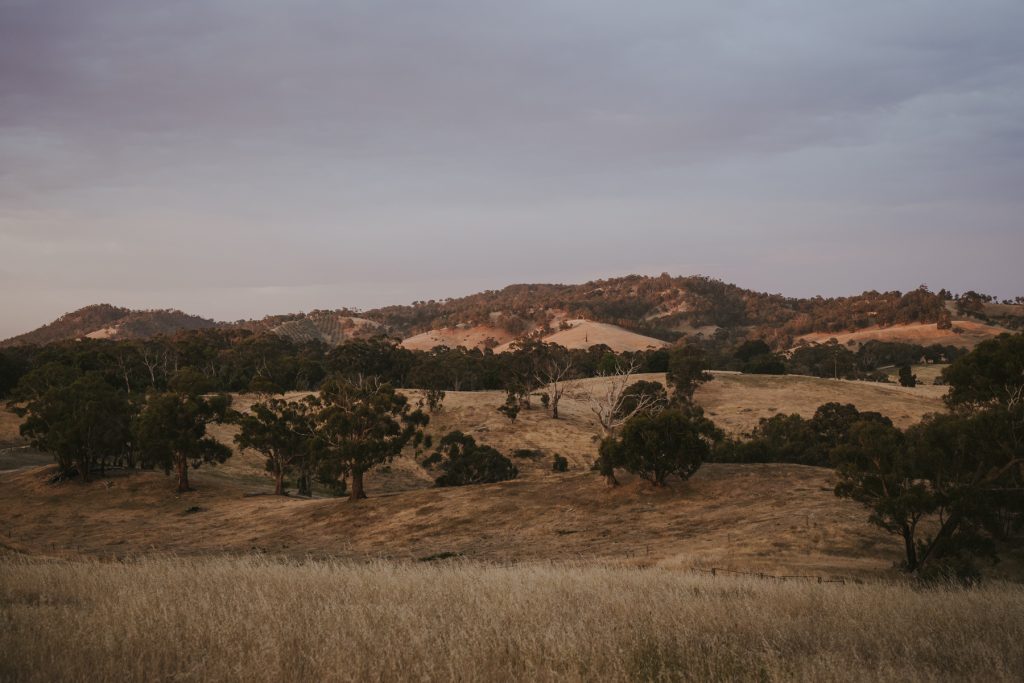 Templewood House, Inglewood, Adelaide Hills Wedding Venue, Country Property on the Outskirts of the City, Drinks Service, Flexible Catering Space suitable ceremony and receptions