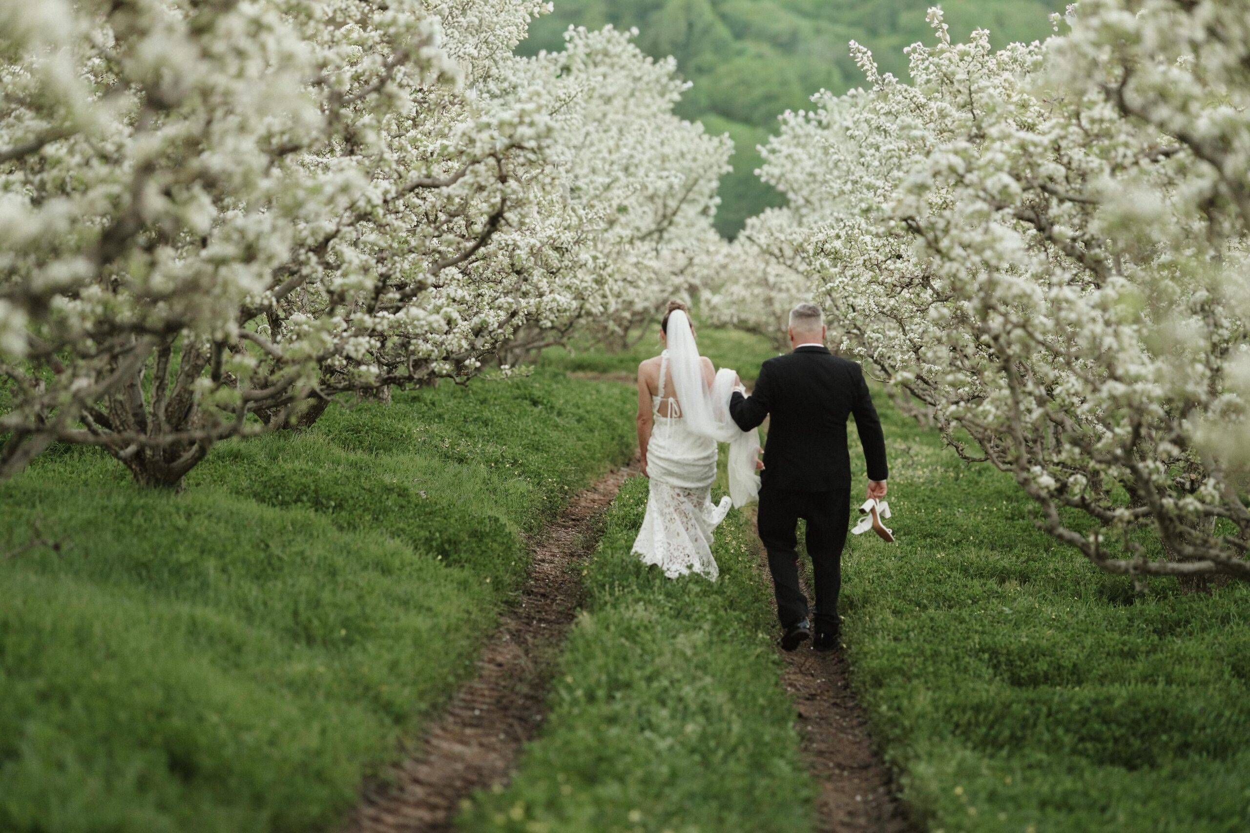 Paracombe Premium Perry Adelaide Hills Pear Orchid and Cellar Door offering the most beautiful weddings. Just 15 minutes from Tea Tree Gully in South Australia this rustic venue is ideal for unique and relaxed couples.