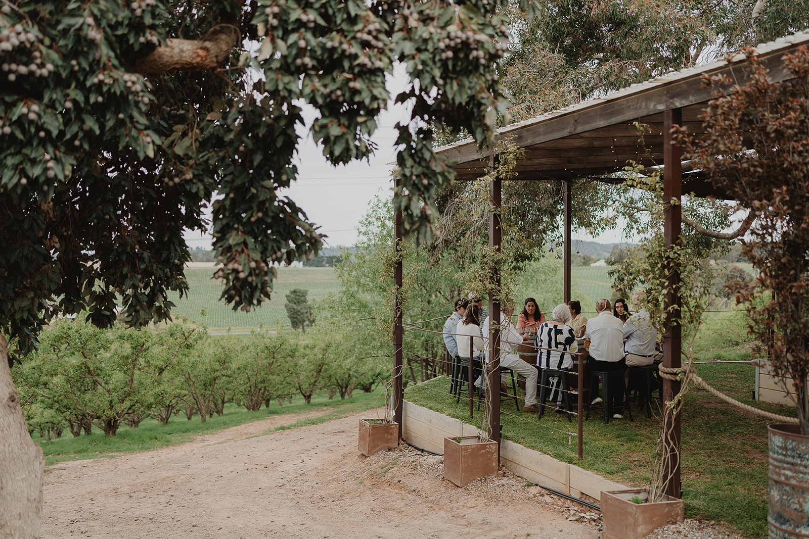 Paracombe Perry Adelaide Hills Pear Orchid and Cellar Door now offering weddings. Just 15 minutes from Tea Tree Gully in South Australia this rustic venue is ideal for unique and relaxed couples