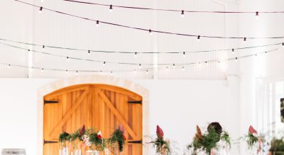 Lloyd Brothers, McLaren Vale, Winery, Olive Grove, Modern White Wedding Venue, Fleurieu Peninsula