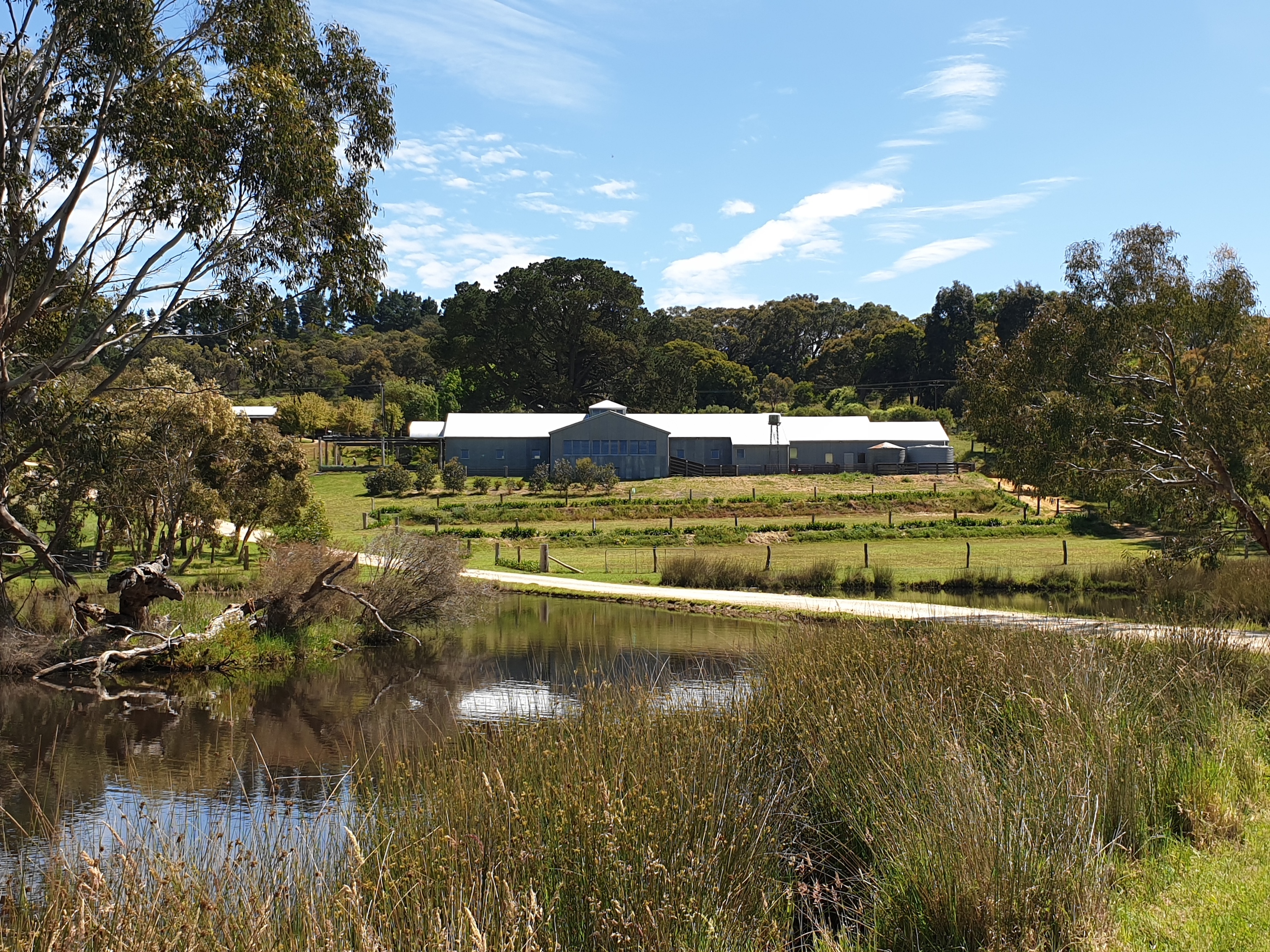 Mt Beare Station 100 year old iconic sheep station, rustic and private wedding venue not far from McLaren Vale