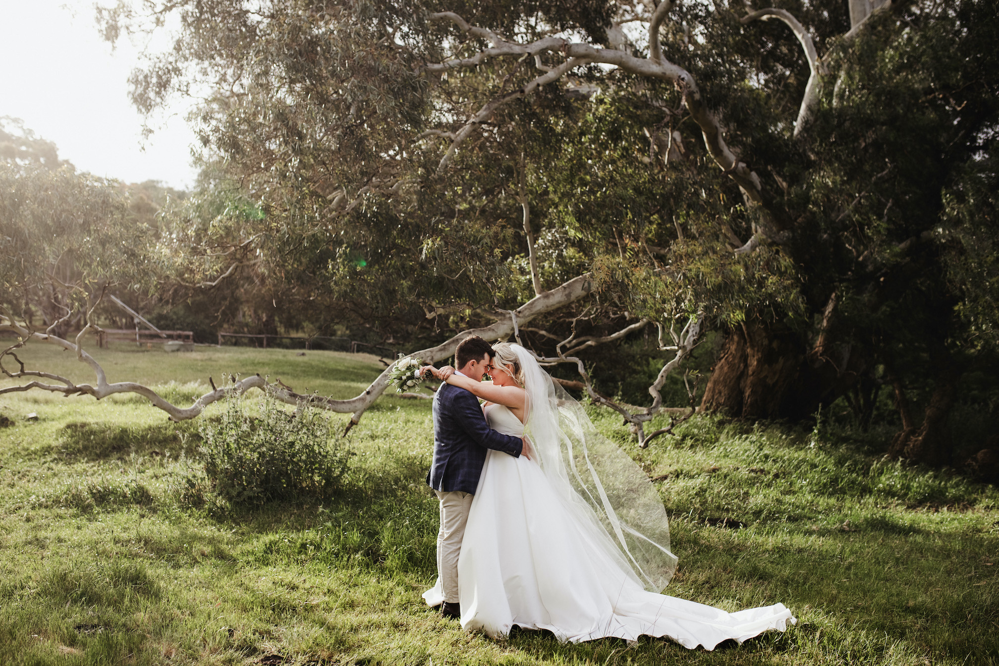 Quince Brook - Video