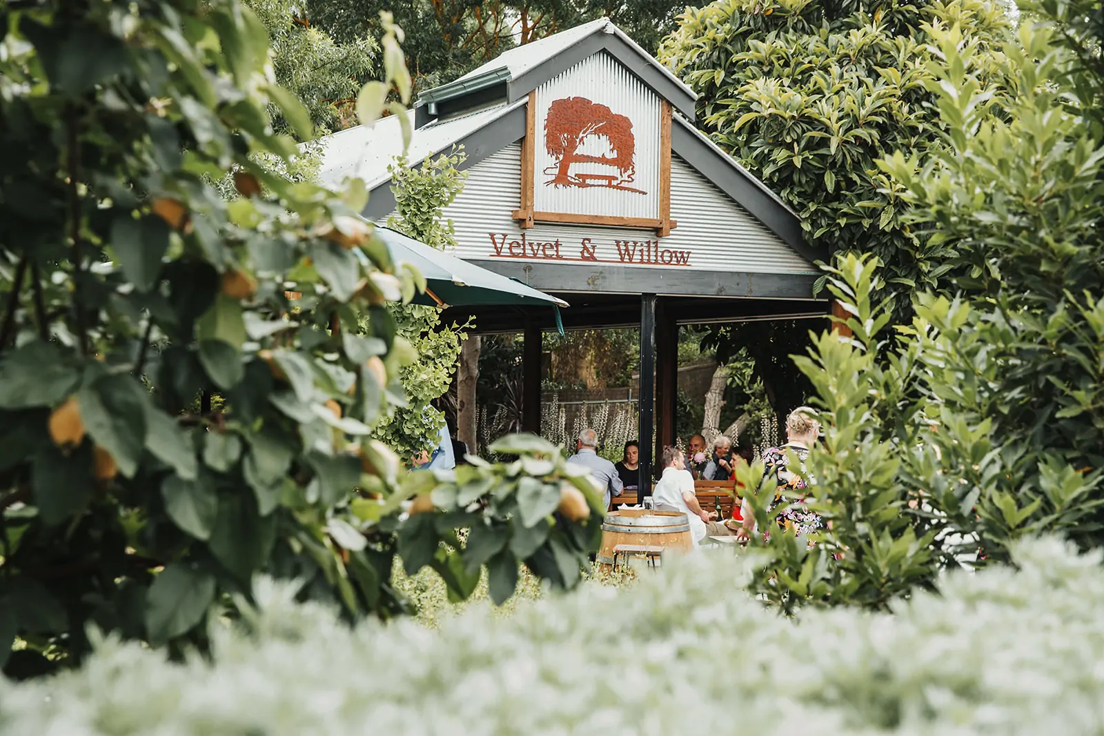 Velvet and Willow is a winery, cafe and cosy wedding venue nestled amongst lush gardens in the heart of Auburn, Clare Valley