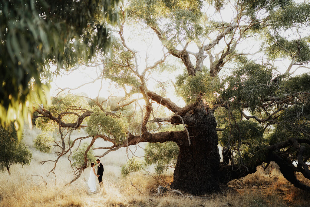 Perched on top of Willunga Hill, Mullawirra is a country dry-hire venue in the Fleurieu Peninsula with stunning 180-degree views, and only 5 minutes to McLaren Vale.