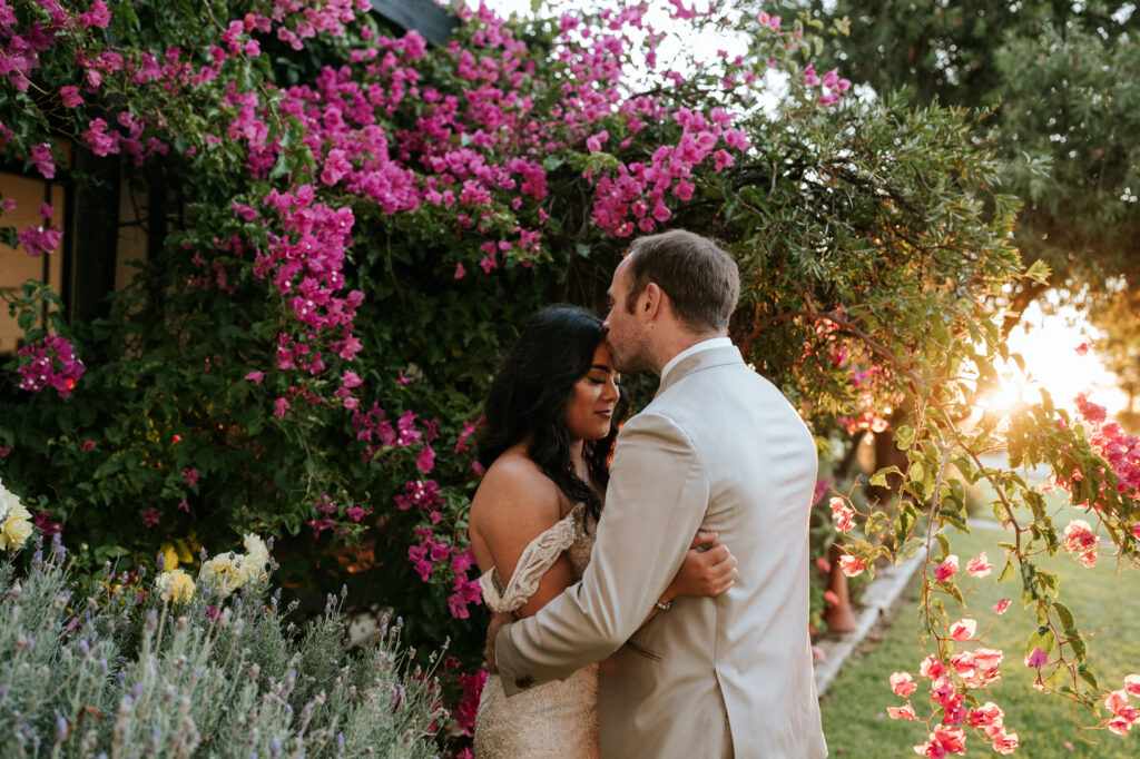 Set amongst the vines and olive orchards of Fleurieu Peninsula’s beautiful McLaren Vale, Hastwell & Lightfoot is a relaxed and flexible venue for weddings and functions, with room for a marquee and accommodation.