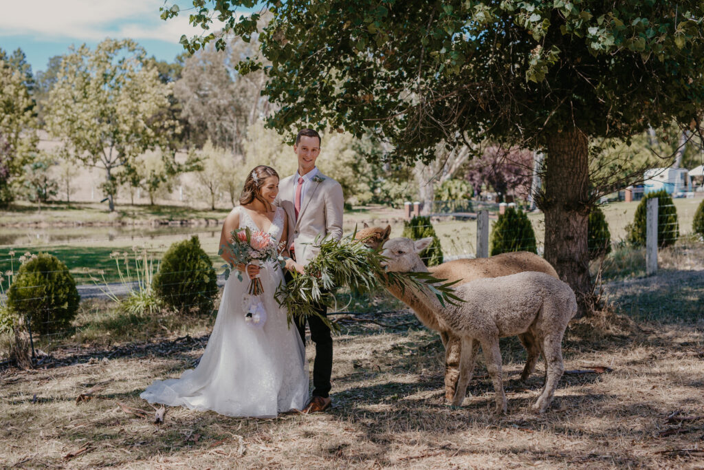 Stevens Estate Garden, Wedding Ceremony venue in the Barossa Valley also catering for small garden picnics and high teas and only a short distance from the Adelaide Hills and Northern Suburbs of Adelaide