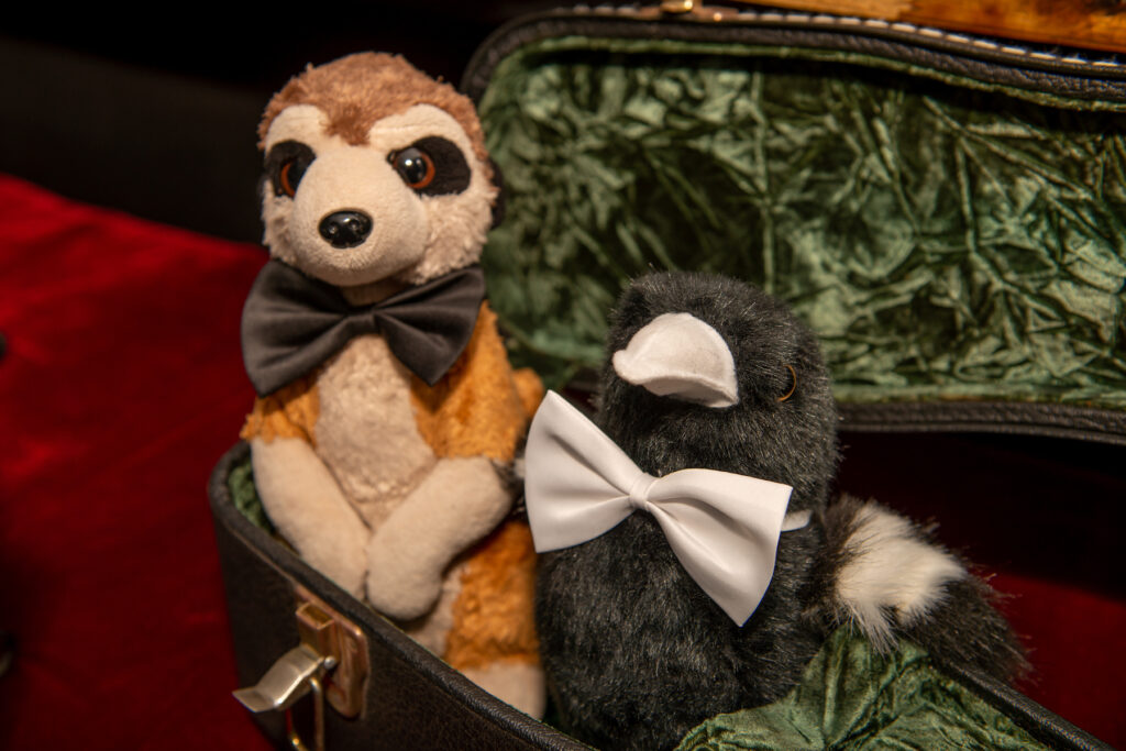 M&R Real Wedding - Paracombe Perry Adelaide Hills Pear Orchid and Cellar Door now offering weddings. Just 15 minutes from Tea Tree Gully in South Australia this rustic venue is ideal for unique and relaxed couples