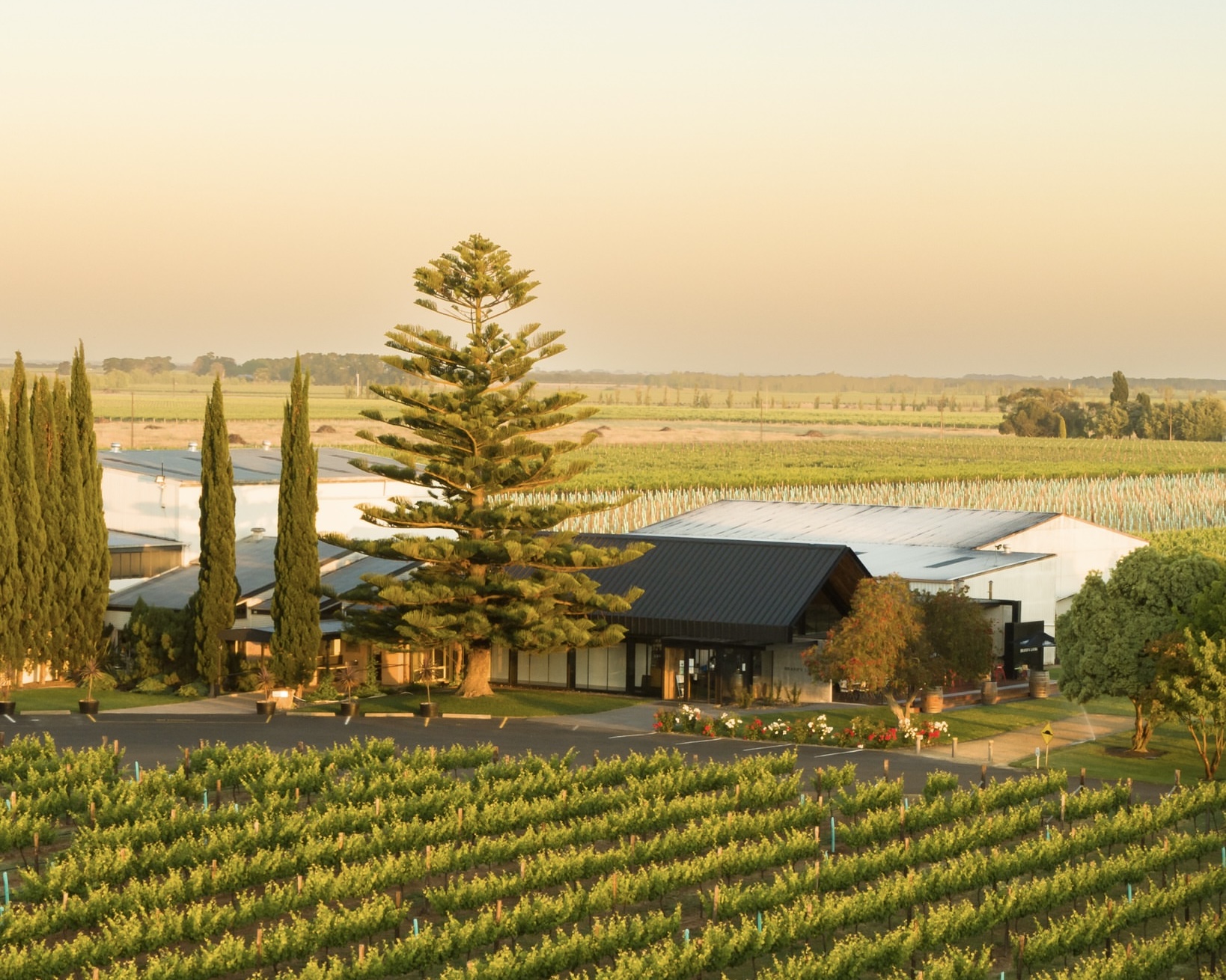 A Limestone Coast wedding venue sitting proudly amongst the vines and terra rossa soil of the world-renowned Coonawarra wine region, Brand’s Laira is a historic winery with a striking modern cellar door, that provides a captivating backdrop for private events and celebrations of love.
