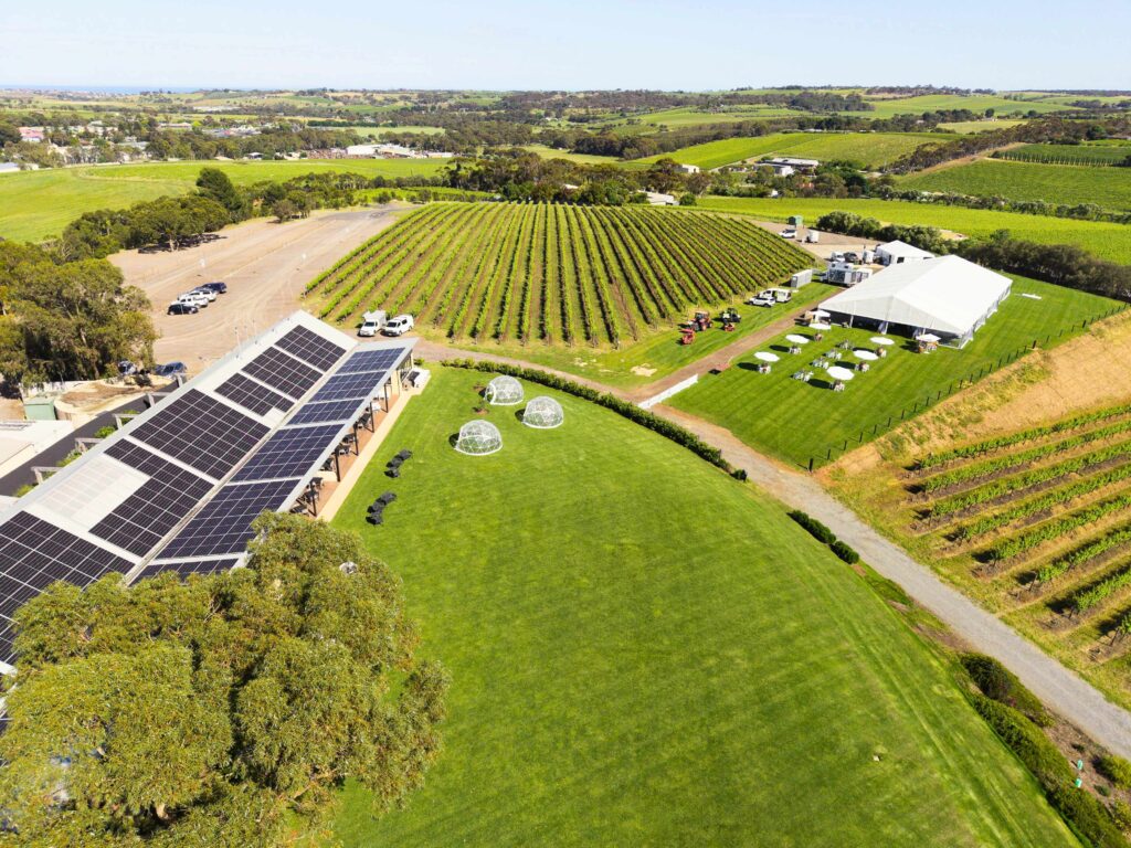 The Terrace at Chalk Hill Wines is a marquee-ready open-air wedding venue in McLaren Vale, offering total flexibility, loads of space for up to 600 guests, vineyard views and event room for a helicopter landing.