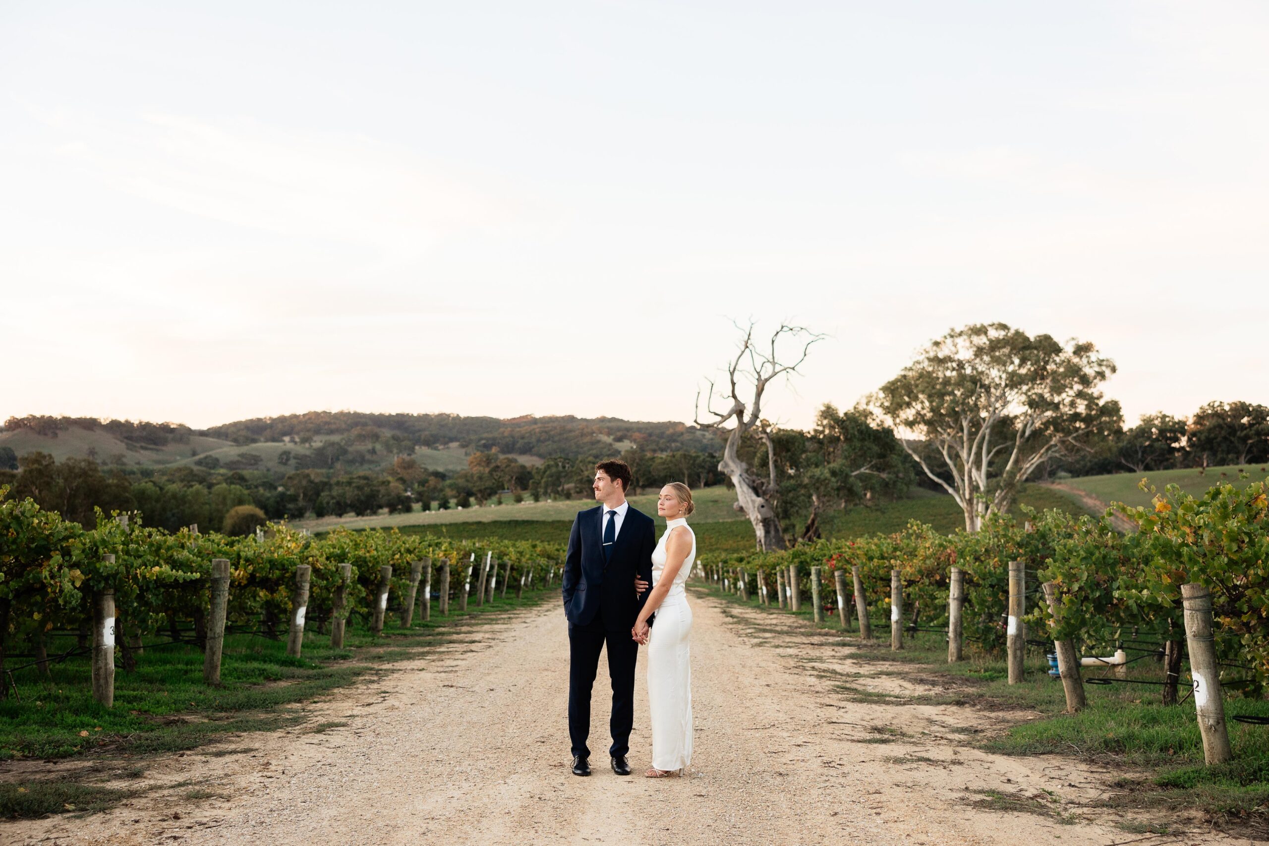 Mylkappa Wines is a hidden gem tucked away in Birdwood, Adelaide Hills. A family-run vineyard venue with stunning elevated views, native bushland, fun hedges and large palm trees.