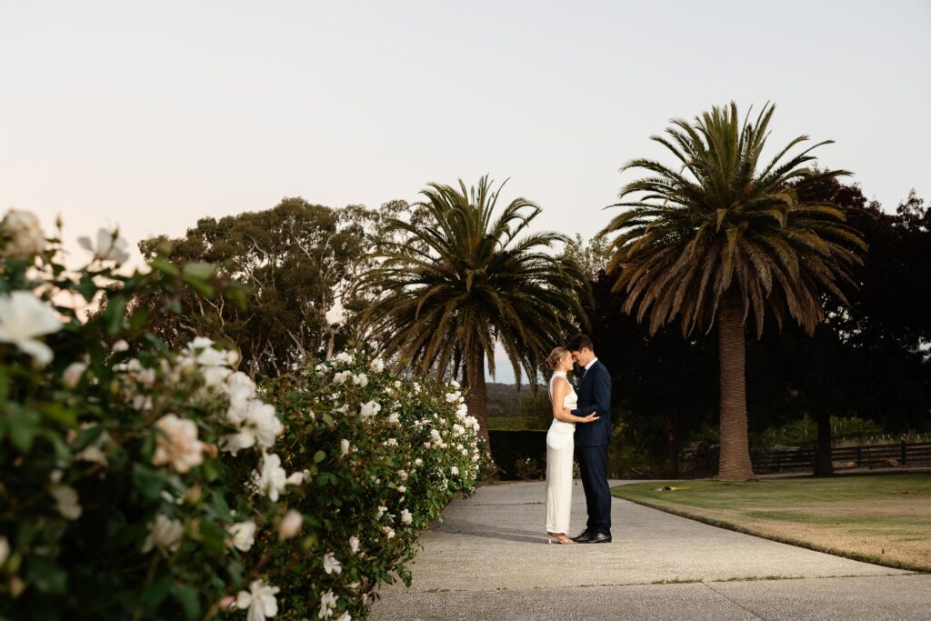 Mylkappa Wines is a hidden gem tucked away in Birdwood, Adelaide Hills. A family-run vineyard venue with stunning elevated views, native bushland, fun hedges and large palm trees.